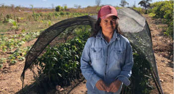 Mulheres são maioria dos beneficiados por ações do governo no campo